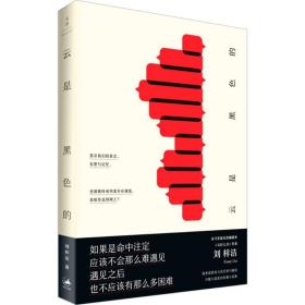 【正版】云是黑色的刘梓洁上海人民出版社