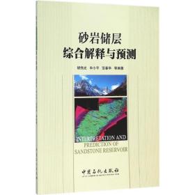 砂岩储层综合解释与预测胡伟光中国石化出版社