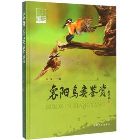 襄阳鸟类鉴赏余涛中国林业出版社