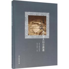 临安洪起畏夫妇合葬墓杭州市文物考古研究所文物出版社