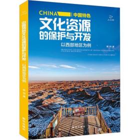 中国特 文化  的保护与开发 以西部地区为例唐剑新华出版社