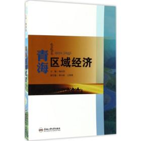 青海区域经济杨自沿合肥工业大学出版社
