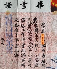 1952年，吉林长春市农安县四区完全小学毕业证书，背部有黏贴