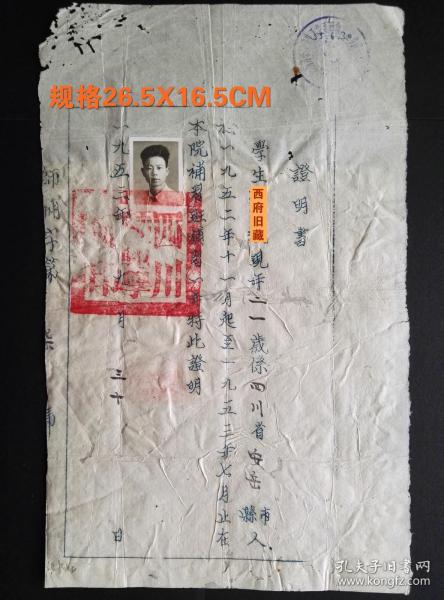 1953年，四川师范学院补习班证明书，背部有黏贴，少见品种