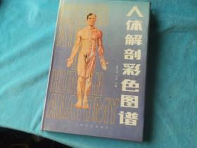 人體解剖彩色圖譜