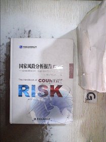 风险分析报告 2019