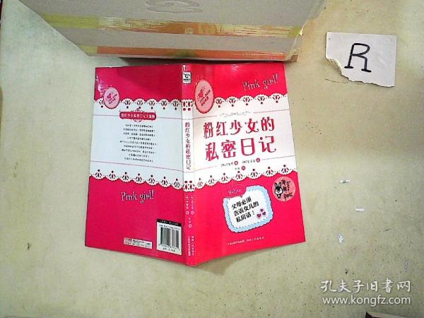 粉红少女的私密日记全智恩 著；齐芳 译；金玉宣 绘 湖南人民出版社