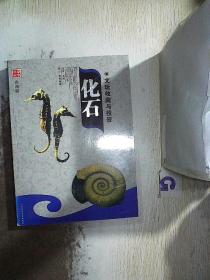 化石 文玩收藏与投资（彩图版）