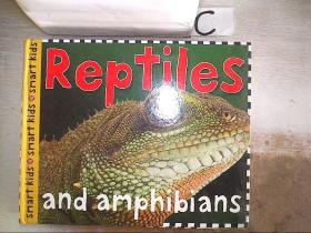 Smart Kids: Reptiles and Amphibians 聪明的孩子：爬行动物和两栖动物【39】