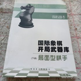 《国际象棋开局武器库 局面型棋手》（下册）16开
