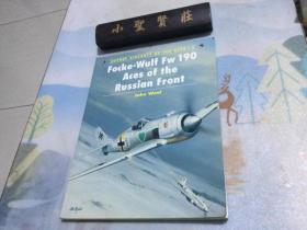 福克沃尔夫 FW 190 F8 (国家航空航天博物馆名机第9册)