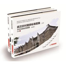 武汉农村建房标准图集（上下册）