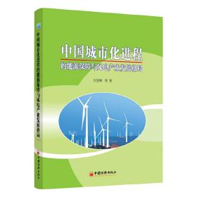 中国城市化进程的能源保障与风电产业发展格局