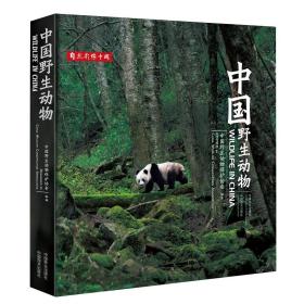 中国野生动物