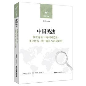 中国民法（多重视角下的中国民法：文化传统、现行规范与跨域比较）