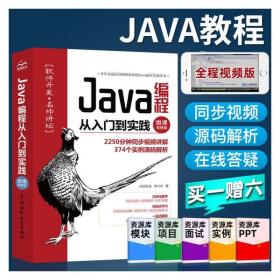 Java编程从入门到实践（微课视频版）java进阶javascriptdom编程艺术java程序设计教程java核心技术编程思想高级程序设计并发编程实战