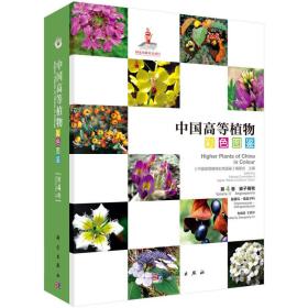 中国高等植物彩色图鉴第四卷被子植物罂粟科—毒鼠子科
