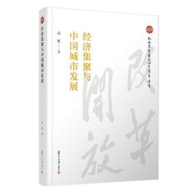 经济集聚与中国城市发展（纪念改革开放四十周年丛书）