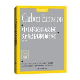 中国碳排放权分配机制研究