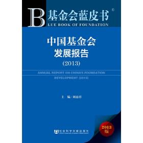 基金会蓝皮书:中国基金会发展报告（2013）