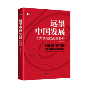 远望中国发展——十大领域的战略分析中国式现代化行动指南张国有