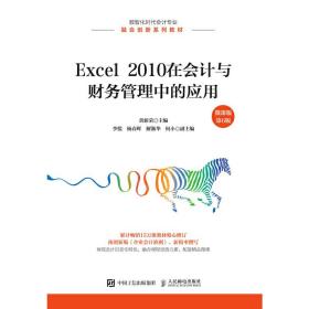 Excel2010在会计与财务管理中的应用（微课版第6版）