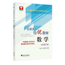 实验班培优教材数学七年级下册