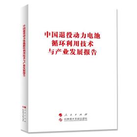 中国退役动力电池循环利用技术与产业发展报告