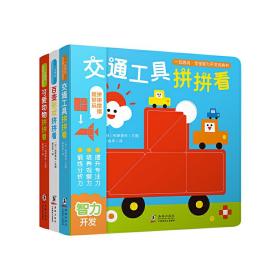 一玩再玩·宝宝智力开发玩具书（套装共3册）