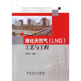 液化天然气（LNG）工艺与工程