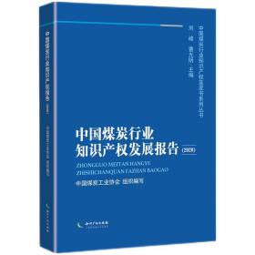中国煤炭行业知识产权发展报告（2020）