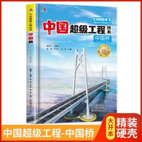 中国桥中国超级工程丛书系列青少年建筑科普百科知识