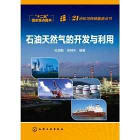 21世纪可持续能源丛书--石油天然气的开发与利用