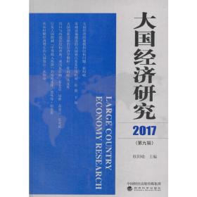 大国经济研究2017（第九辑）