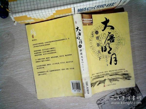 大唐明月·谁家天下