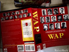 Professional WAP