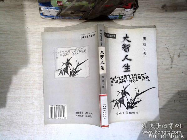 大智