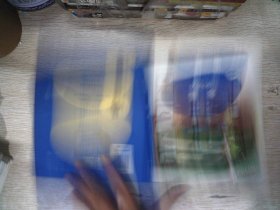 警察 德国安德烈亚斯·皮尔 著 程彦侨 译 德国安德烈亚斯·皮尔 绘