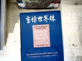 当惊世界殊菲迪克工程项目奖中国获奖工程集