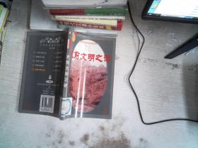 史前文明之谜