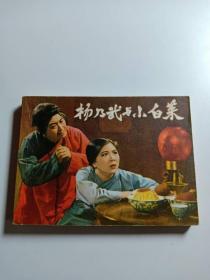 杨乃武与小白菜连环画