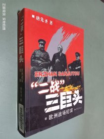 二战三巨头：欧洲战场纪实