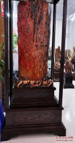 红色树化玉极品红色树化玉极品鸡血树化玉极品树化玉千年难得一件大红大紫吉祥如意的象征红色树化玉其中有一条神龙盘旋树上确实天意可做镇馆之宝可遇不可求的红色树化玉珍品
