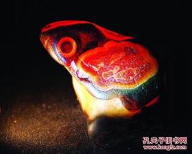 全球罕见千年不世出的绝世珍宝玛瑙金蟾，可以媲美“1亿元”价值的“小鸡出壳”奇石