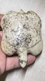古董，古玩，史前玉器，史前鸡骨白玉器，鸡骨白玉龟，风化纹明显，红山玉龟，红山鸡骨白“玉神龟”夏家店文化玉龟，夏家店玉龟《夏家店玉神龟》，浆光四溢，沁色自然，千古神韵，鸡骨白包浆醇厚，磕碰处更加显示真品无疑，标本级“红山神龟”万年神龟，极品收藏，可遇不可求，绝世珍品