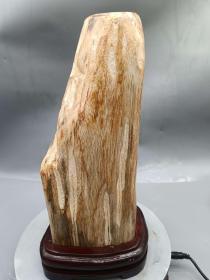 远古木化石原石，古老印度木化石“小龙纹”，纯天然“独特小龙纹木化石”原石，“印度龙纹”，重达近6斤，“独特龙纹”极为罕见，可遇不可求，“极为罕见桫椤木化石”玉质细腻温润，俏色精美，“纹路独特”，品相完美， 油性十足，品质好，值得永久珍品，可遇不可求，极好收藏