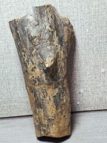 远古木化石原石，木化石“大牛腿”，纯天然“独特树杈”原石，“树杈发达”，长22厘米，“树杈根繁叶茂”极为罕见，可遇不可求，“极为罕见桫椤木化石”玉质细腻温润，俏色精美，“纹路独特”，品相完美， 油性十足，品质好，值得永久珍品，可遇不可求，极好收藏