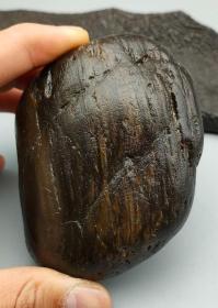 化石","万年神木保佑全家平安,百鬼不敢入内",极为难得金丝楠树化玉