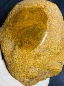 远古木化石原石，玉化极好，独特，纯天然“太阳辉纹木化石”原石，900克多重“黄金金丝楠木化石纹路独特”，温润如玉料这样的极为罕见，可遇不可求，玉化极好，种水十足，肉质细腻，“极为罕见黄金太阳纹木化石”玉质细腻温润，俏色精美，“纹路独特”，品相完美，大块头3斤多重，肉质细腻干净，冰感充足，种老起荧光 油性十足，品质好，值得永久珍品，可遇不可求，极好收藏