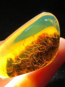 缅甸琥珀吊坠，植物琥珀吊坠，极为稀有，罕见的亿万年前的植物“裙子菜”化石琥珀吊坠，绝对的珍品，孤品，神品，温润细腻，可遇不可求，值得永久收藏和佩戴